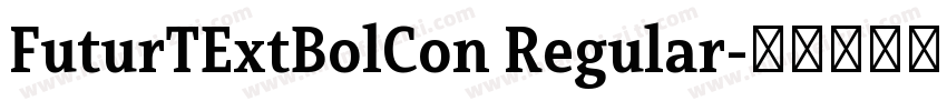 FuturTExtBolCon Regular字体转换